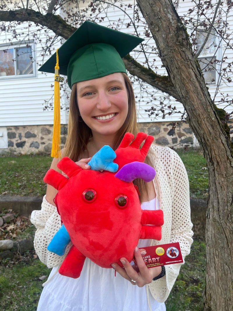 GIANT MICROBES Deluxe 15" Heart Plush, Blood Cells Stuffed Animal, Organ Transplant & Anatomical Heart Gifts, Cardiology Gifts - Image 3